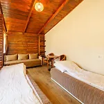 Terimex