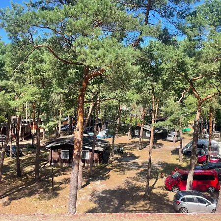 Terimex * Pogorzelica (Gmina Rewal)