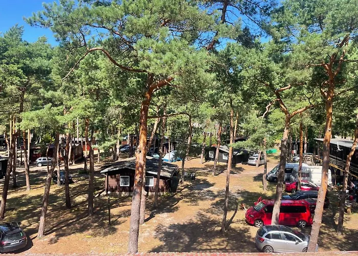 Terimex * Pogorzelica (Gmina Rewal)